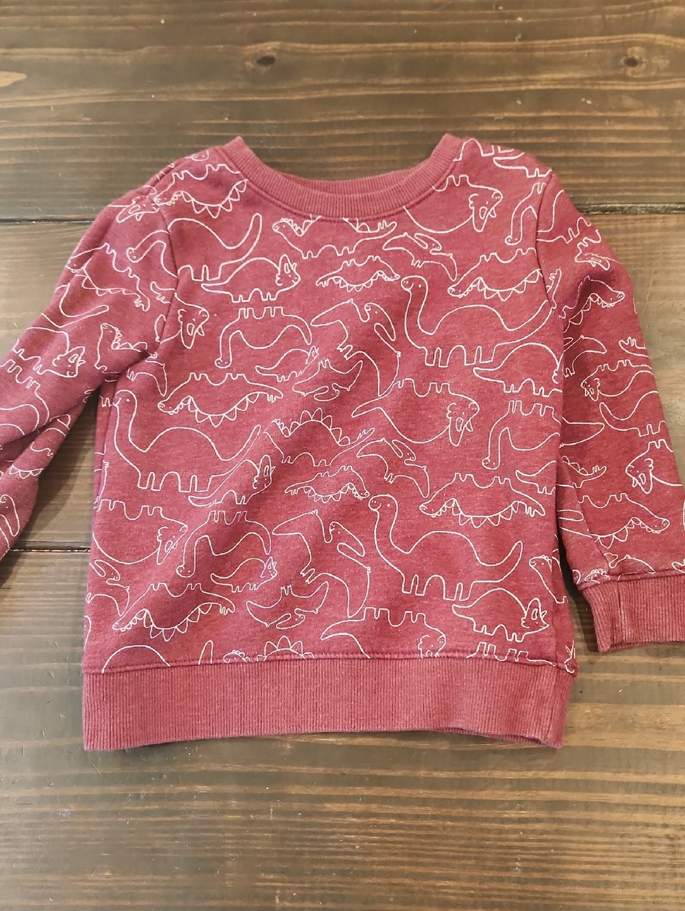 Cat & Jack Red Dino Line-Print Sweatshirt